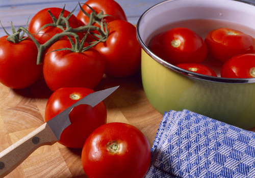 cours-monder-les-tomates
