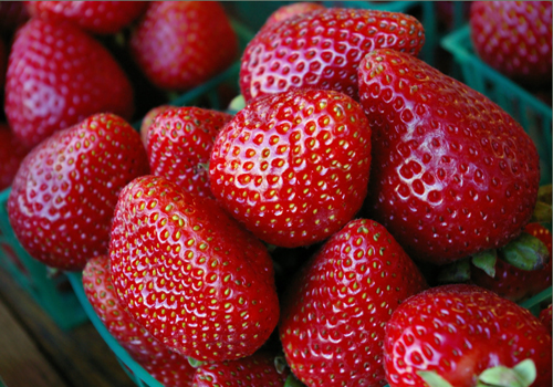 Oh les belles fraises !